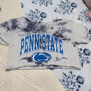 Penn State Tie-Dye Cropped Tee - Gray & Navy